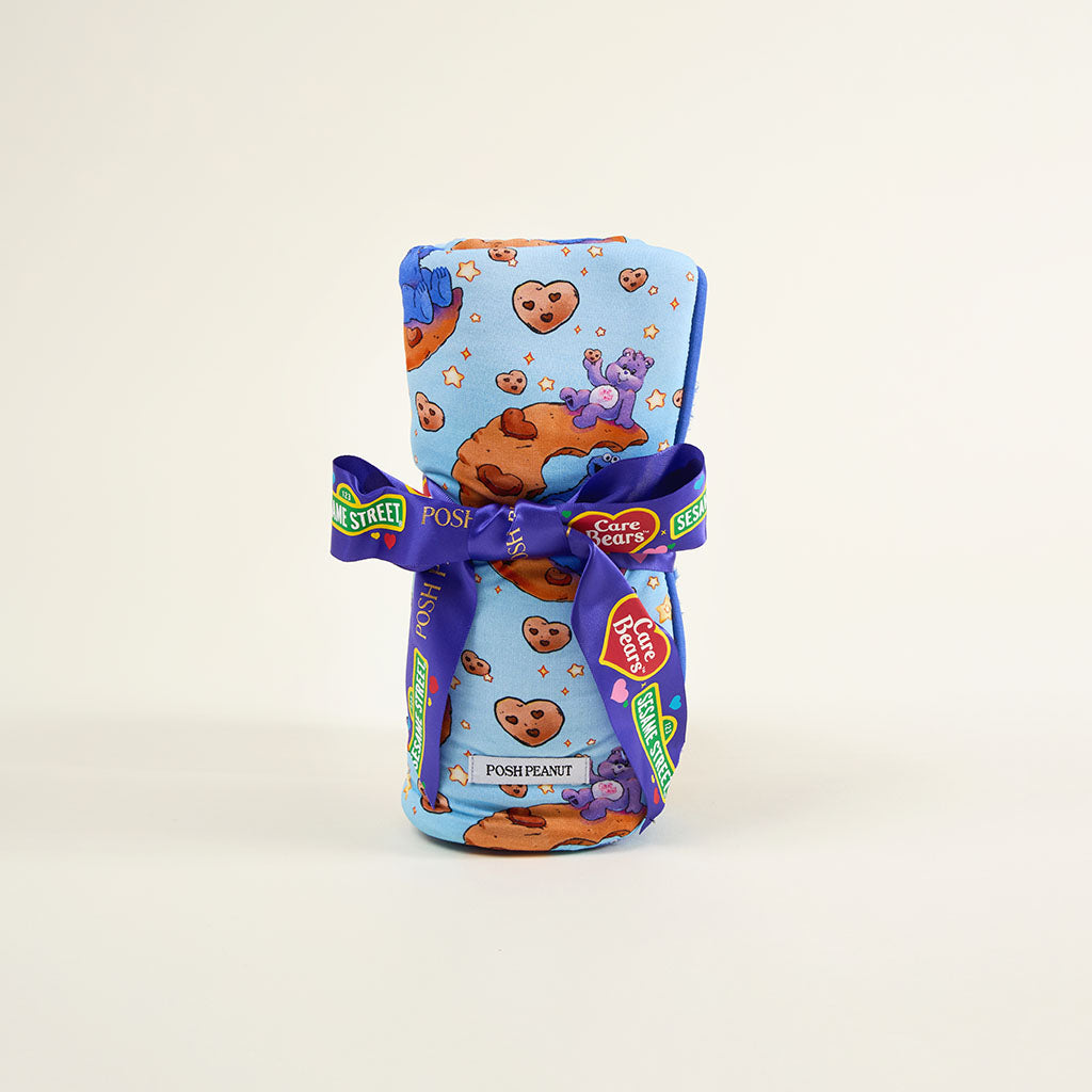 Care Bears™ Share Bear & Cookie Monster Plush Security Blanket